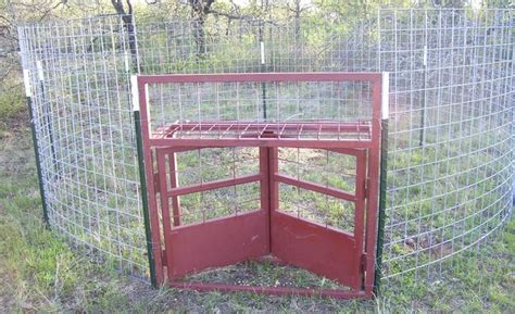 homemade hog trap gates